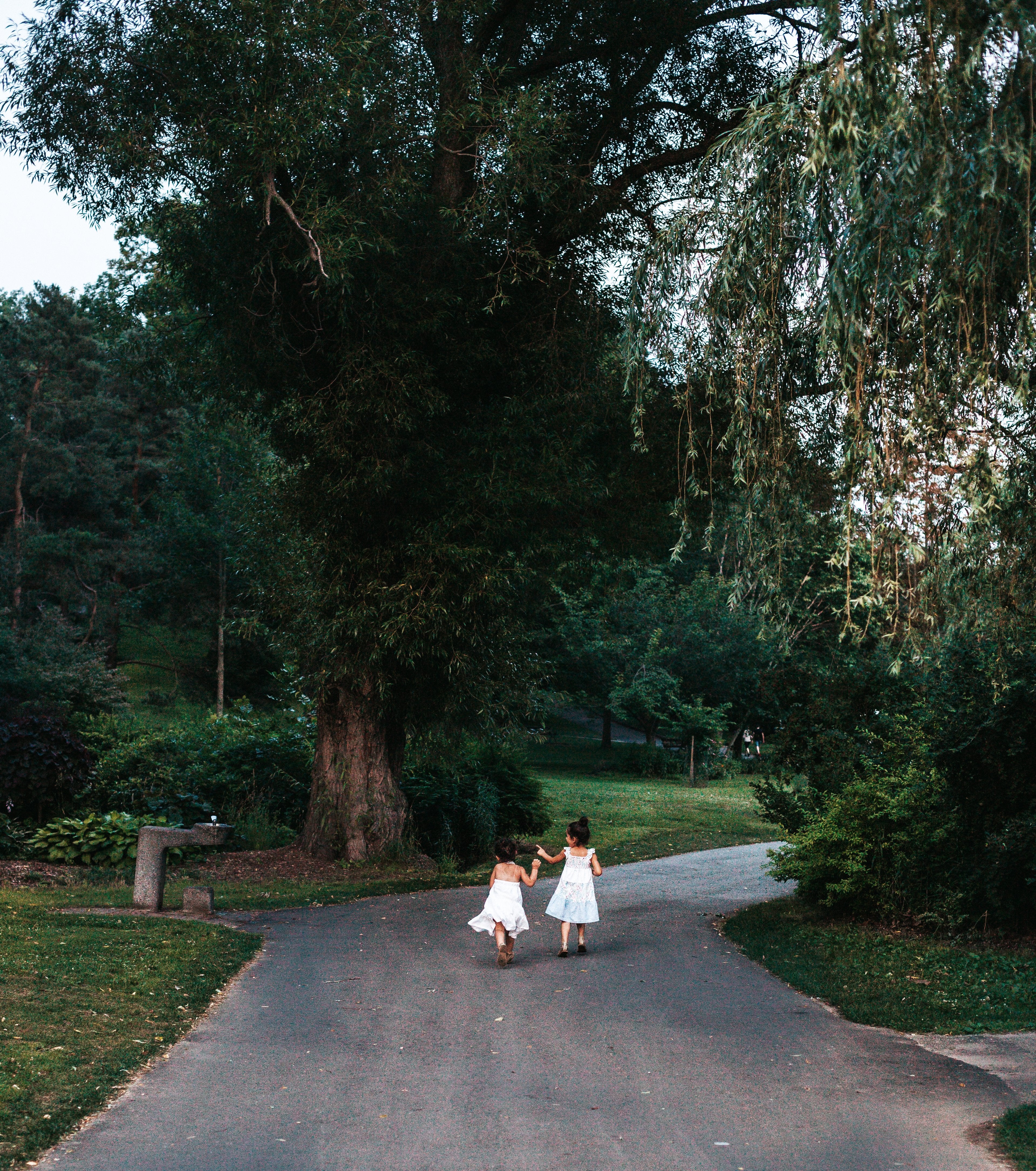 Il y a un parc là-dedans